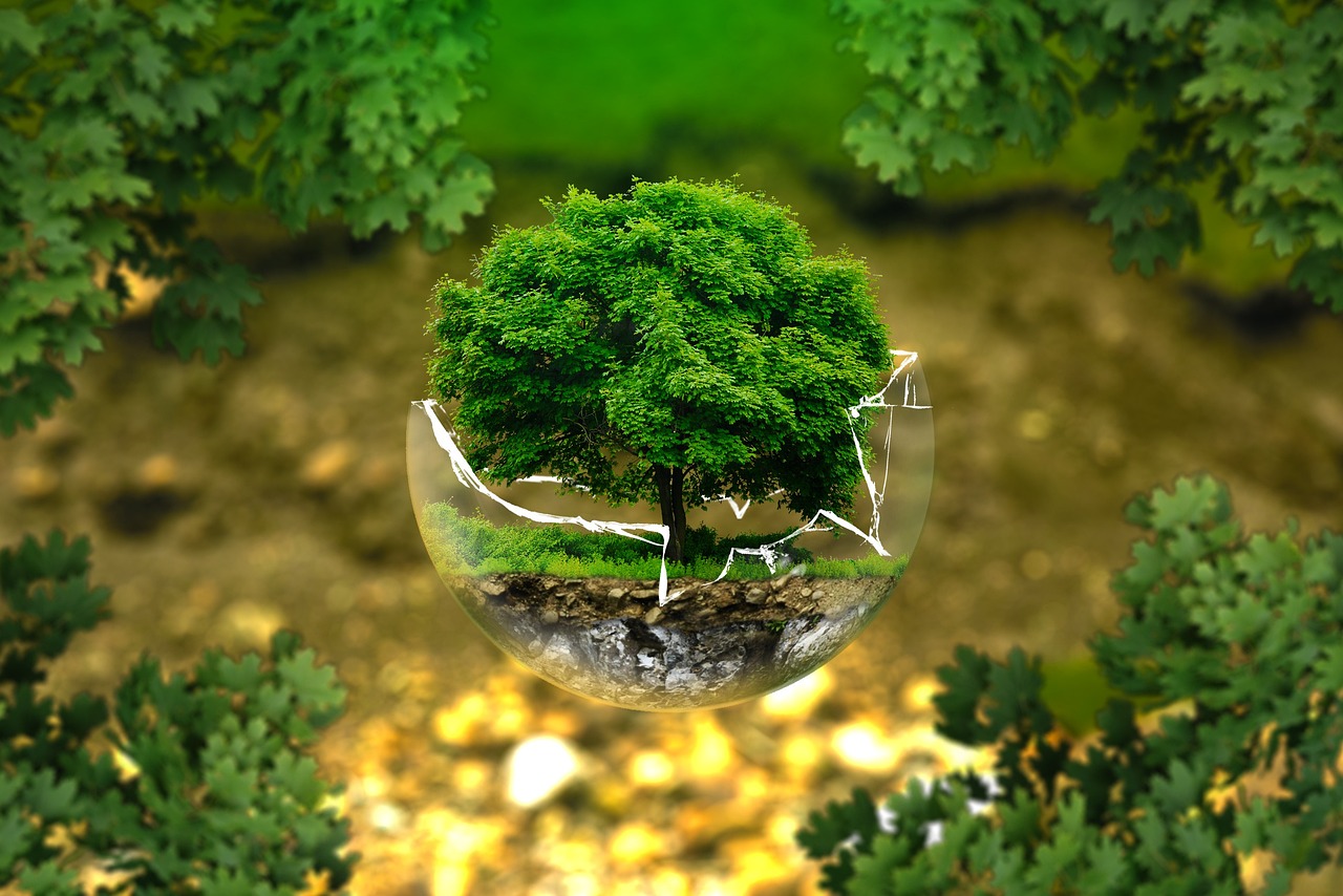 Survol des Controverses : Le Vol Ultra-Court de Cette Compagnie Aérienne Soulève des Débats Environnementaux !