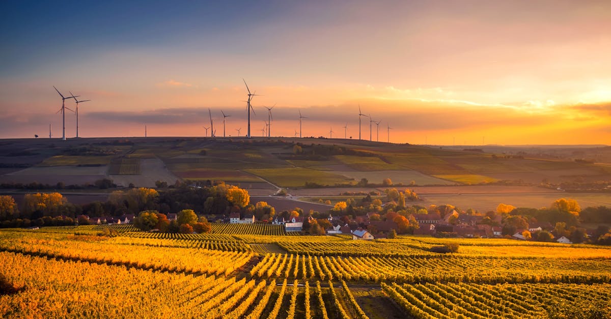 Leaders en développement durable : comment ils transforment notre avenir