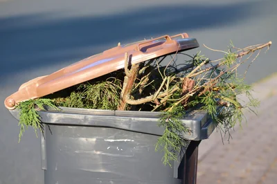 Compostage en appartement : Guide pratique pour transformer vos déchets organiques en or vert