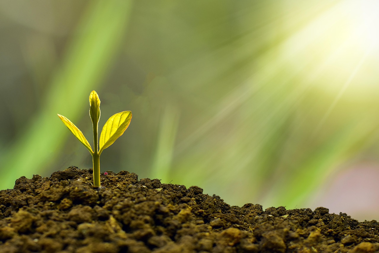 Agir pour la planète : Ensemble vers un avenir durable