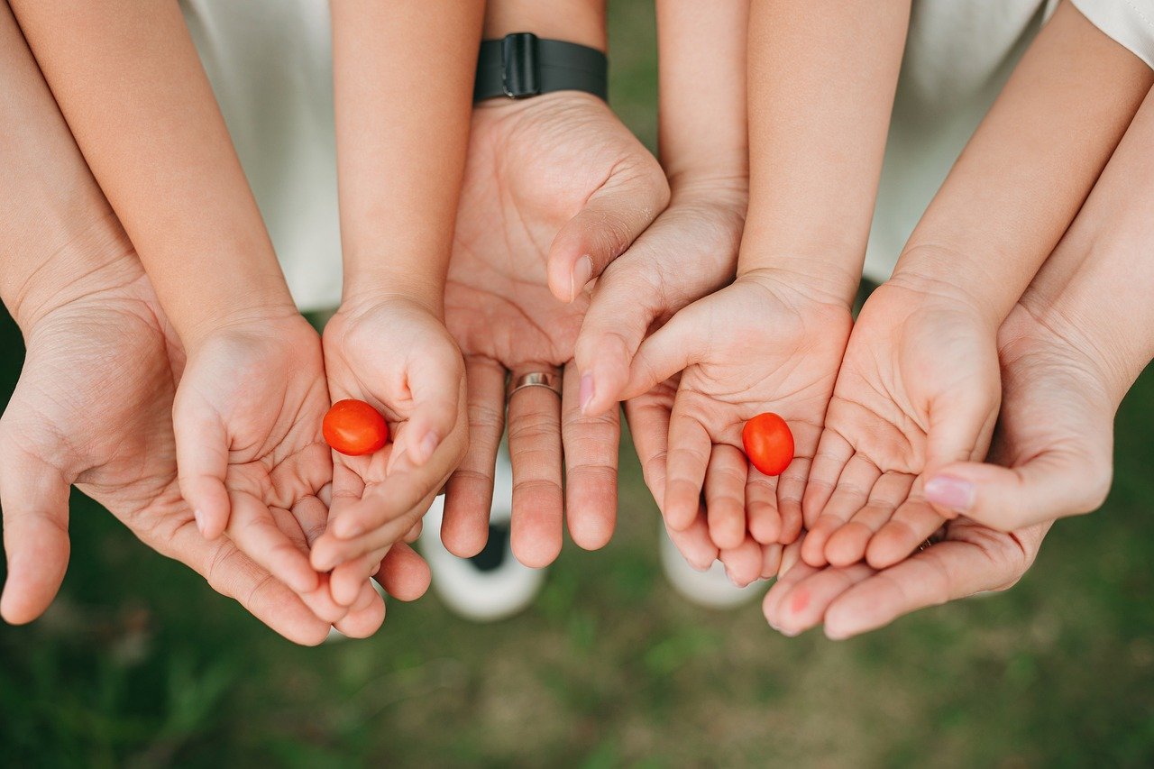 Adieu tuteurs à tomates : dès 2026, les jardiniers ingénieux adoptent cet objet délaissé pour leurs plantations…