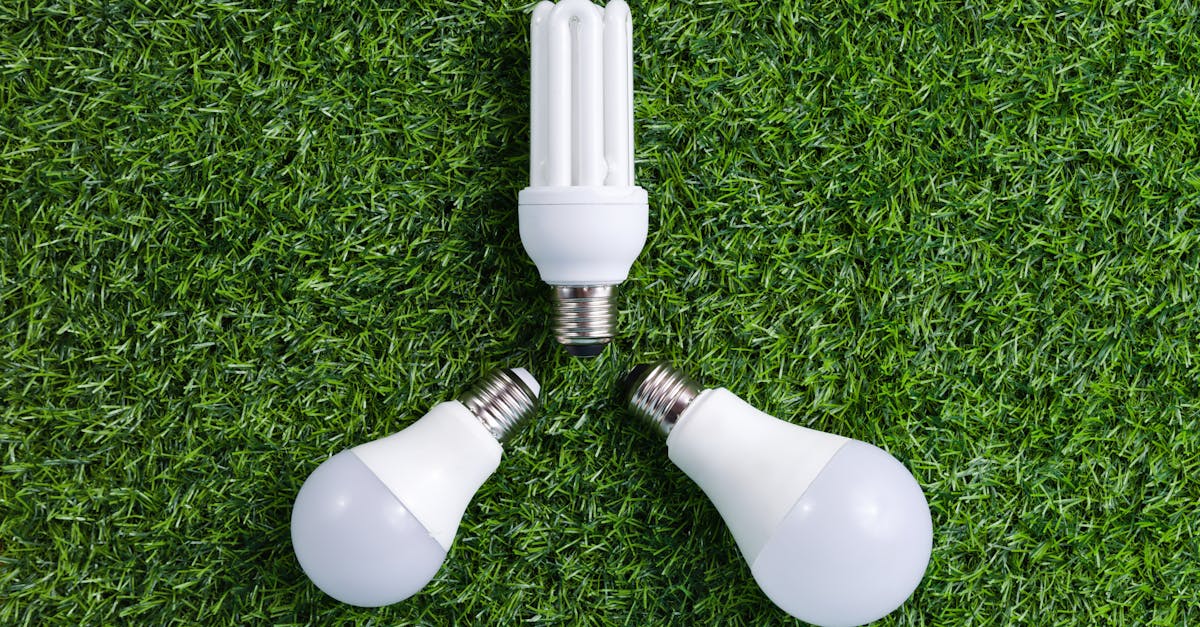 Économie d’énergie : 10 astuces pour réduire votre consommation au quotidien