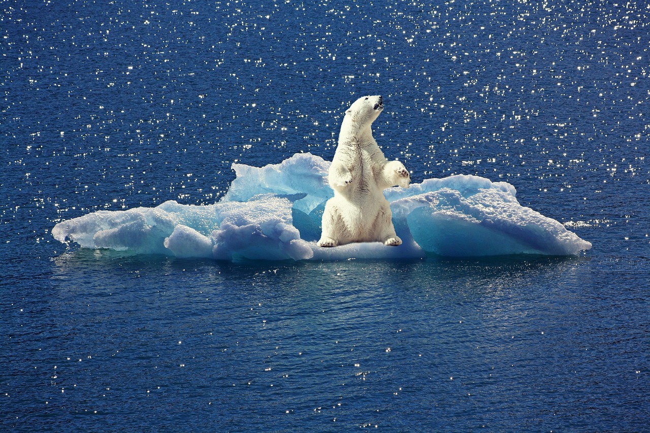 Inégalités climatiques : le 1 % le plus riche responsable d’autant d’émissions de CO2 que 66 % de la population mondiale