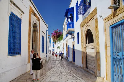Tunisie : Entreprendre, Innover et Verdir l’Économie au Cœur des Initiatives Locales et Globales