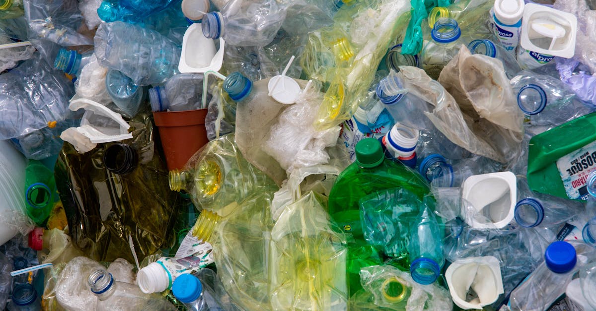 Pollution : comprendre ses impacts sur notre santé et notre environnement