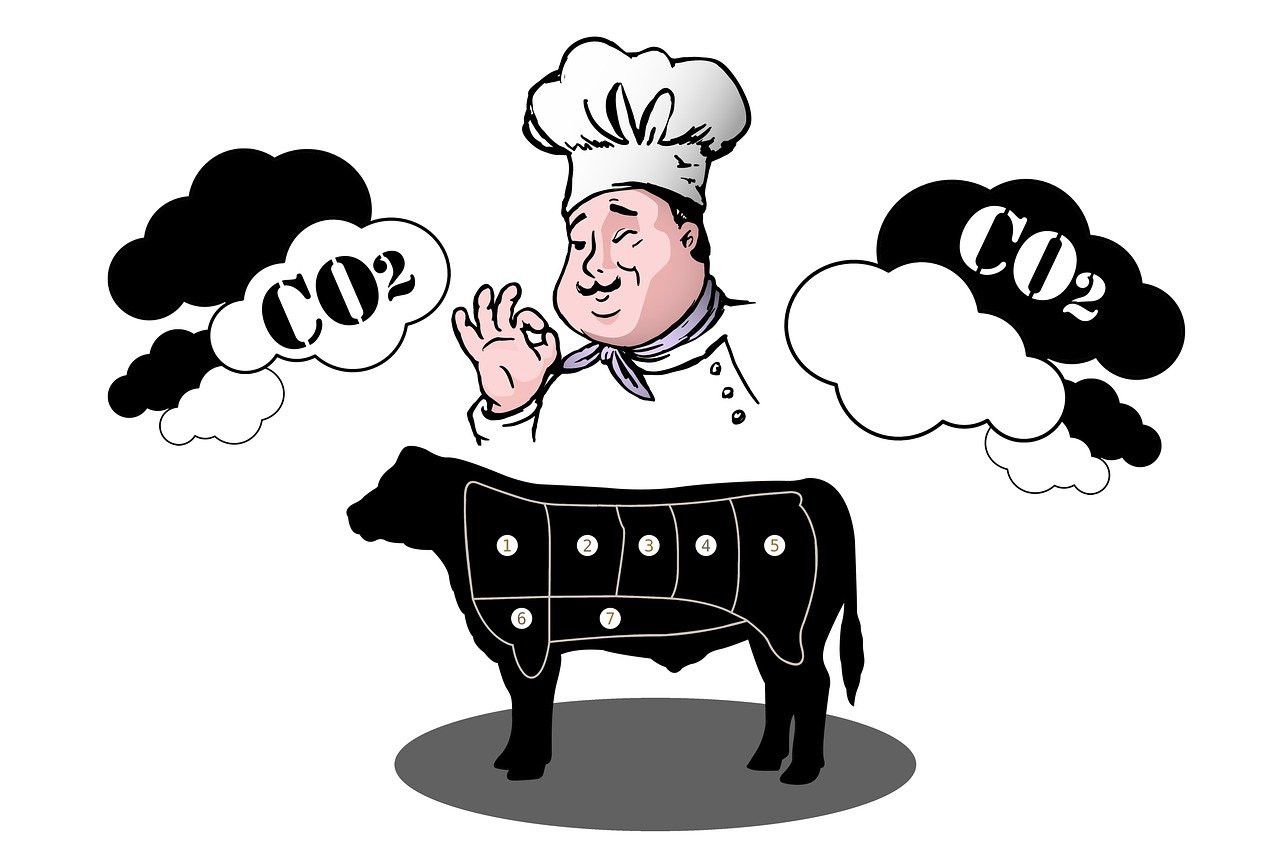 Qu’est-ce que le Bilan Carbone et en quoi consiste-t-il ?