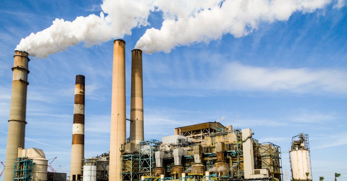 Environnement : Comment réduire notre empreinte carbone au quotidien