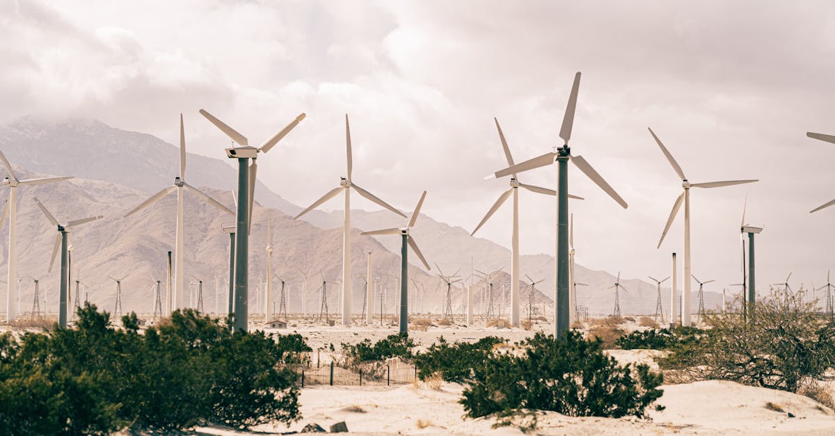 Économie verte : vers un avenir durable et responsable