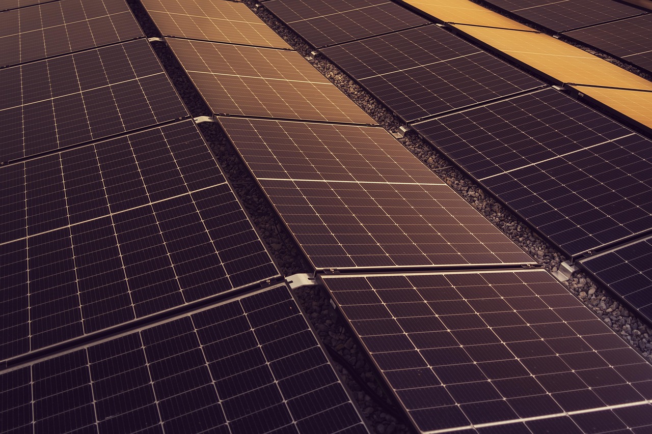 Diminuer notre empreinte écologique pour un avenir durable