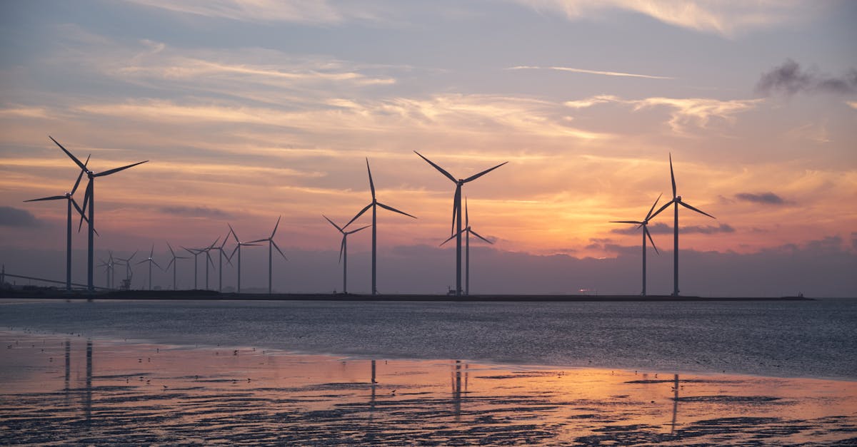 Développement durable : Comment adopter des pratiques éco-responsables au quotidien