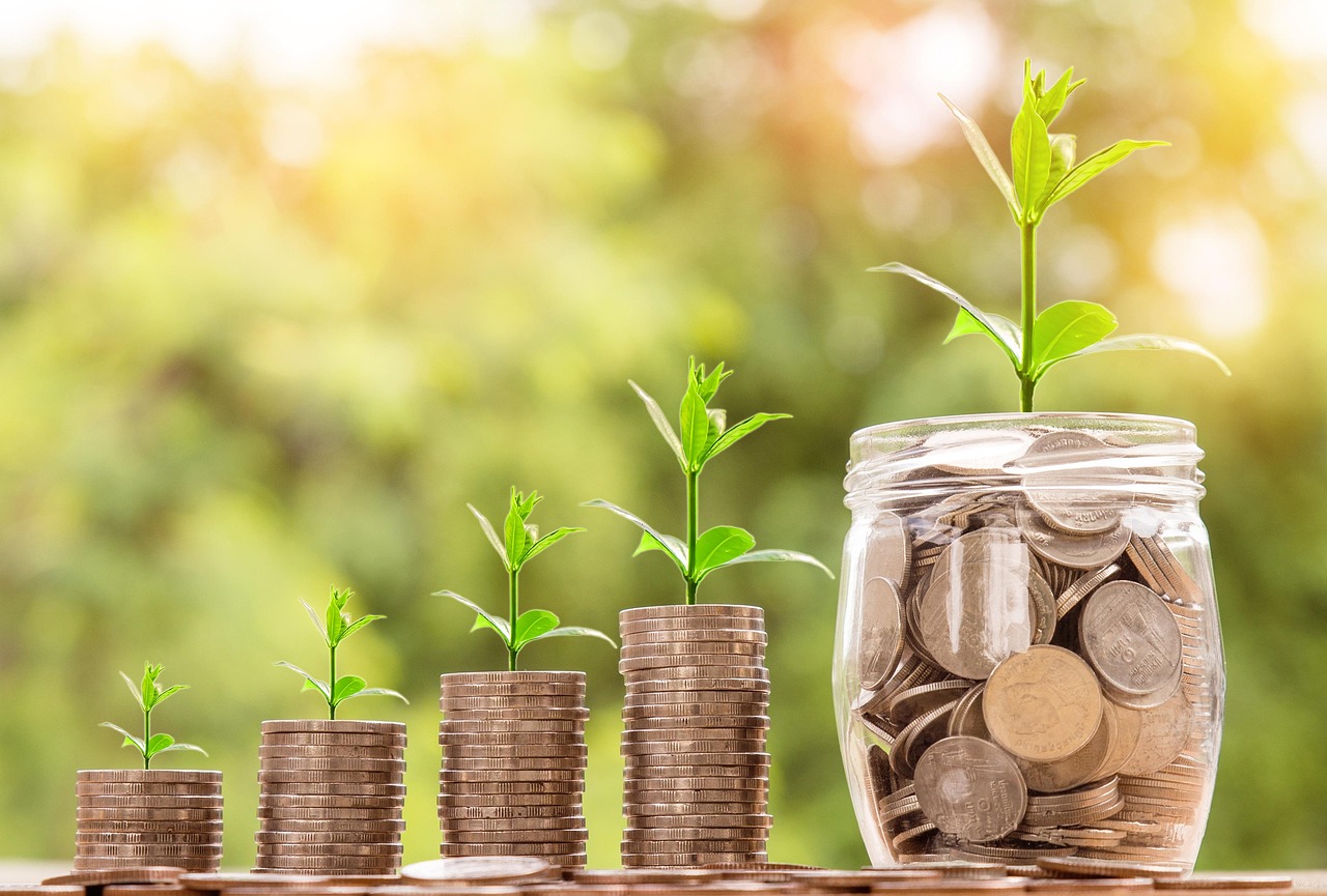 Économie circulaire : vers une gestion durable des ressources naturelles