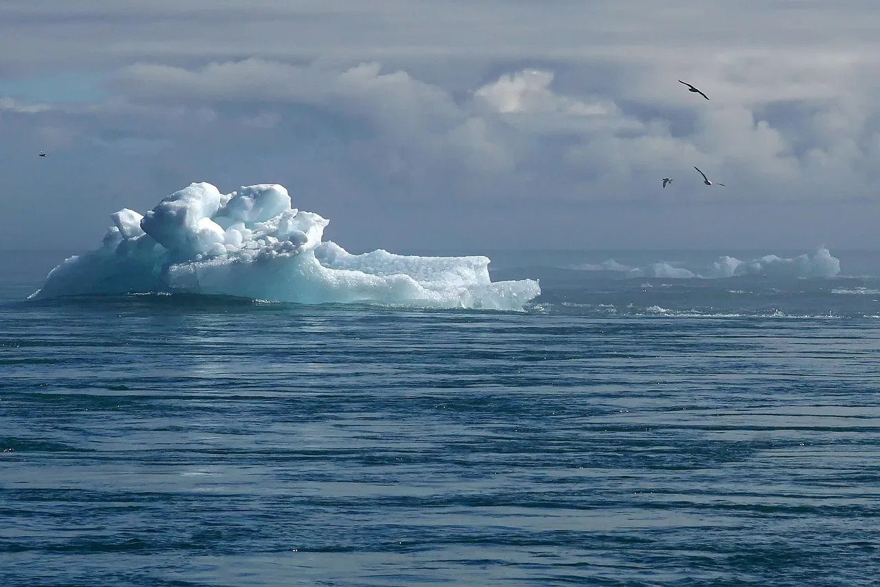 RSE et climat : des actions concrètes pour un avenir meilleur