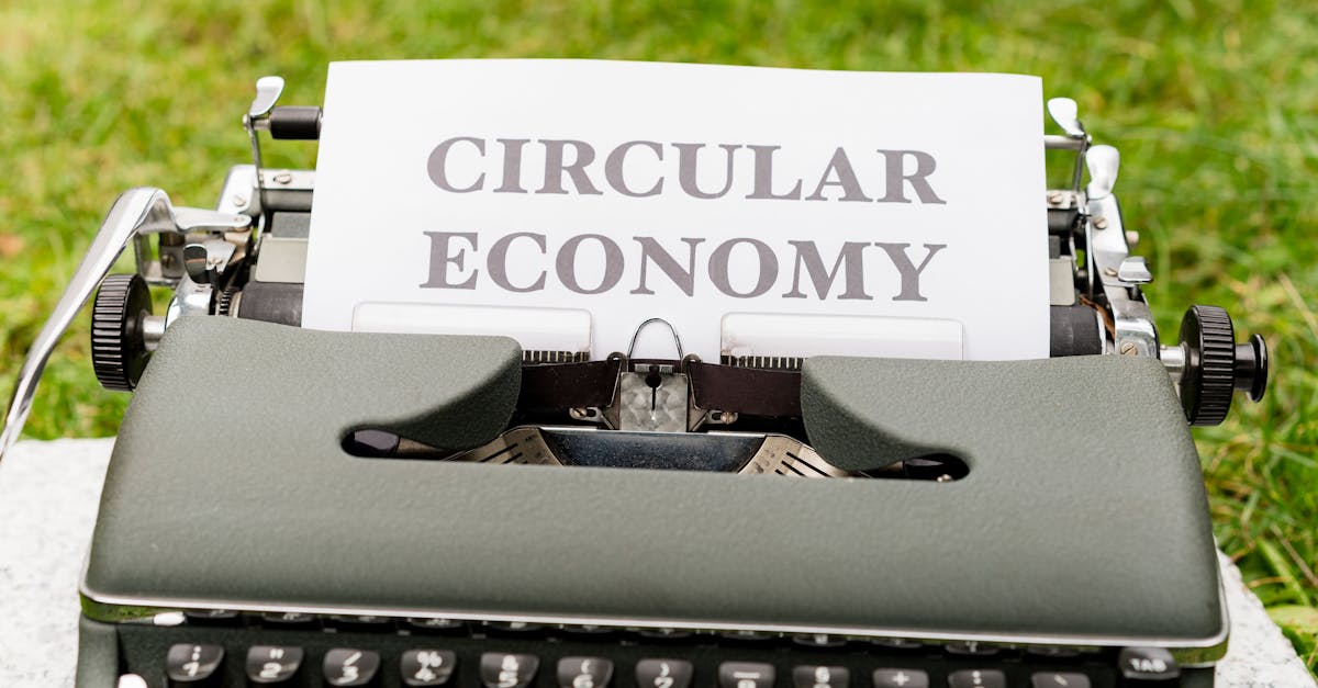 Valorisation des déchets : des solutions innovantes pour une économie circulaire
