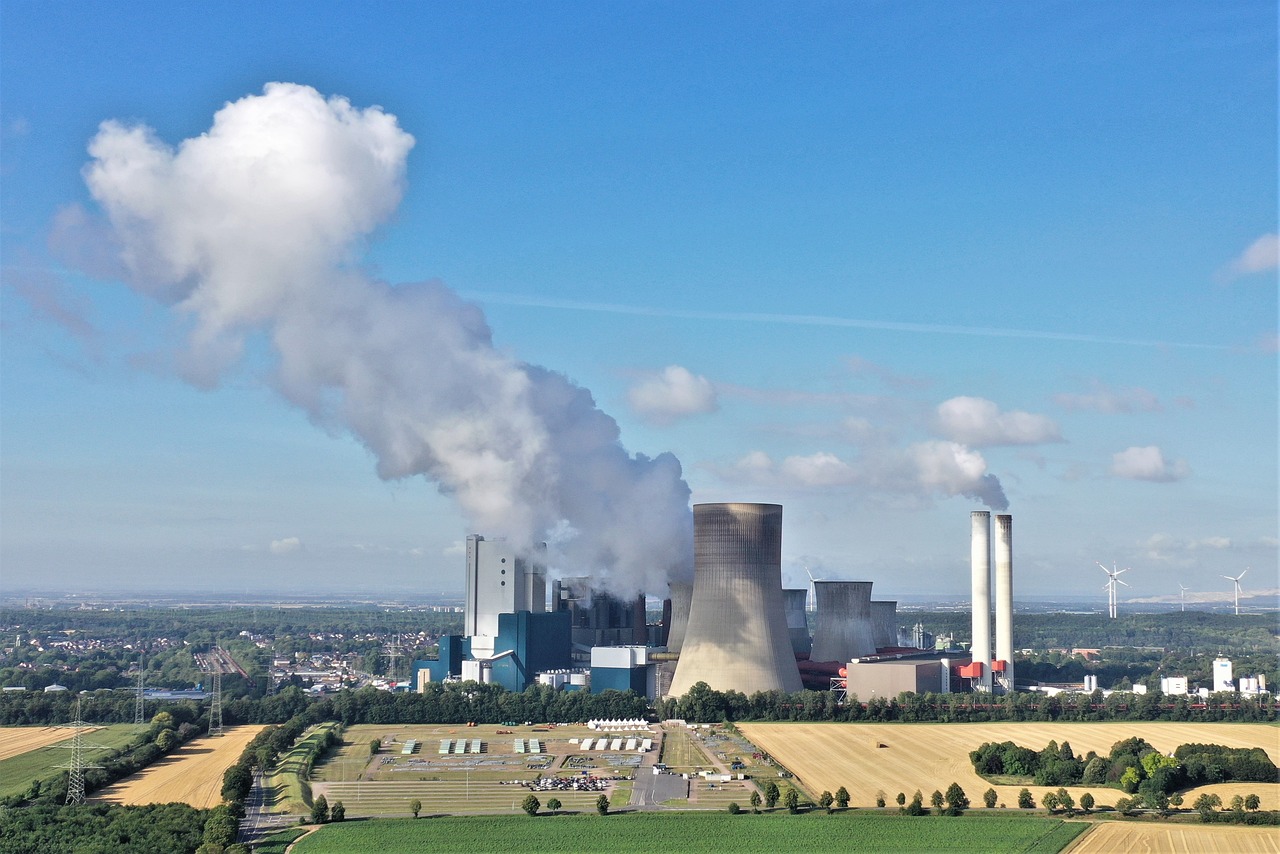 Des noix aux algues : une alimentation à « empreinte carbone négative » pour lutter efficacement contre le changement climatique