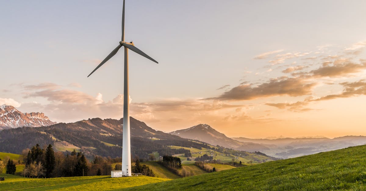 Sustainable development : les clés pour un avenir respectueux de l’environnement