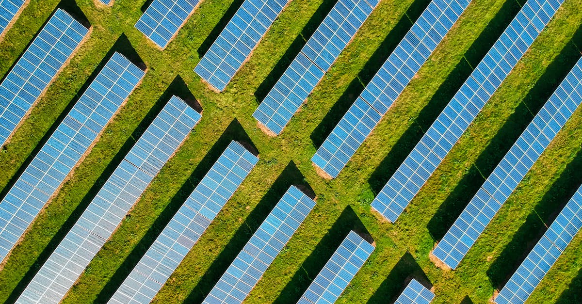 Empreinte carbone : comprendre son impact et les solutions pour la réduire