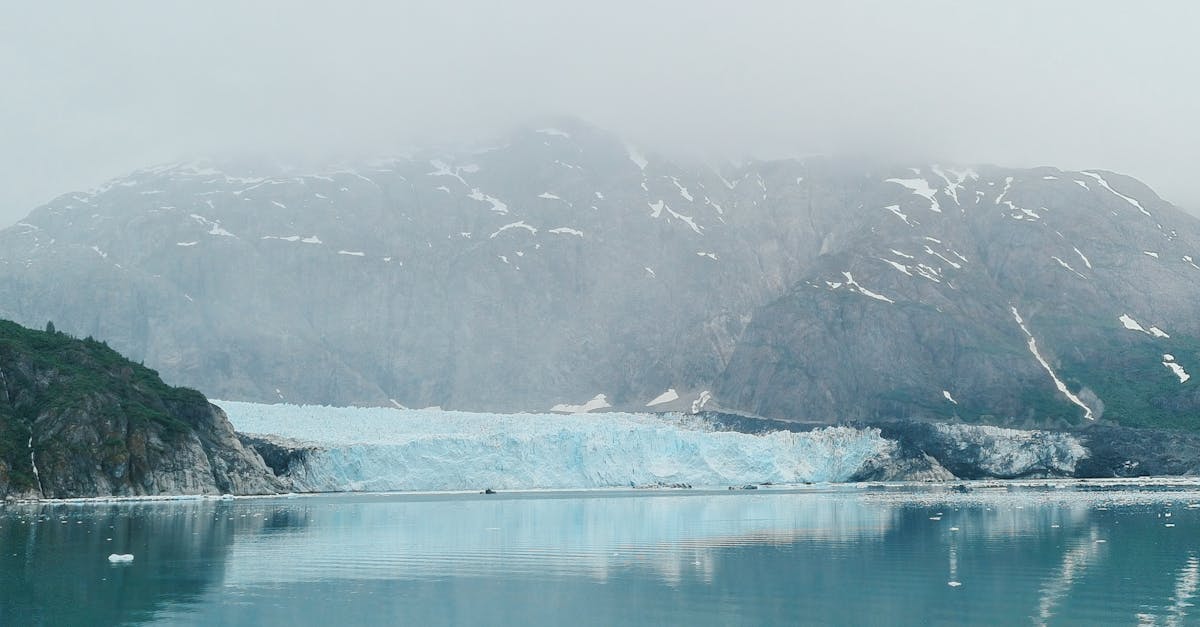 Atténuation des effets climatiques : stratégies et actions pour un avenir durable